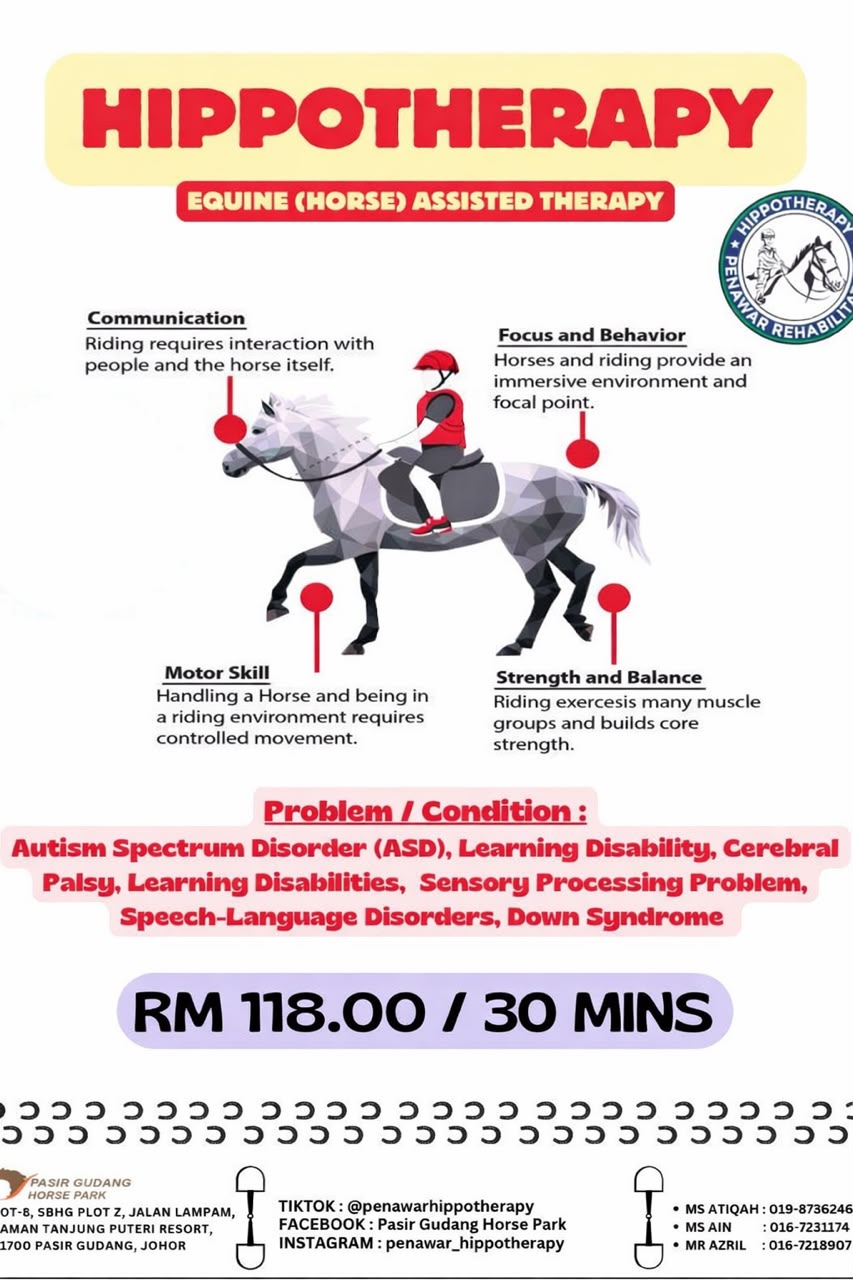TERAPI BERKUDA (HIPPOTHERAPY)